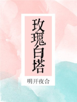 玫瑰白塔讲的什么故事