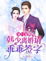 豪门协议离婚吧韩少