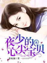 夜少的心尖宝贝全集小说