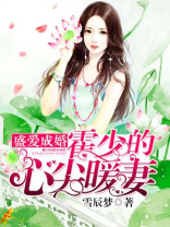 盛爱成婚霍少的心尖暖妻番外