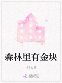 森林之子金块代码