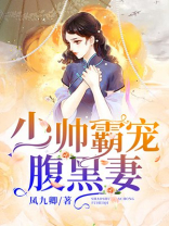 少帅腹黑妻 妙不可言
