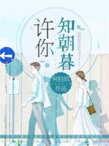 许你知朝暮 何拾玖
