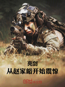 亮剑赵刚起义