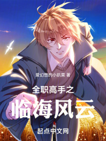 全职高手3・副本风云