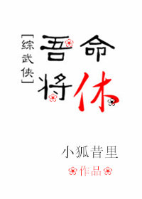 [综武侠]吾命将休格格党