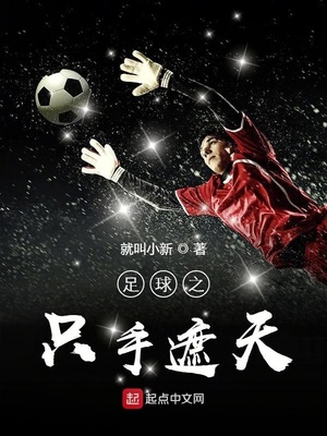 足球之只手遮天TXT下载