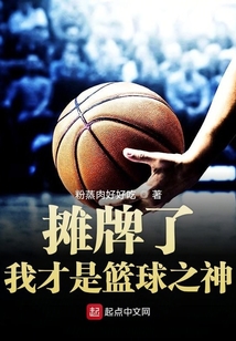 摊派了我就是篮球之神