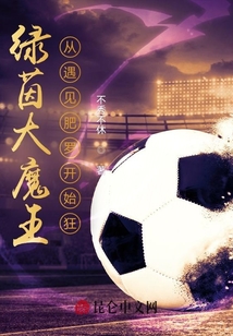 绿茵魔术师小说