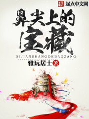 鼻尖上的宝藏类小说