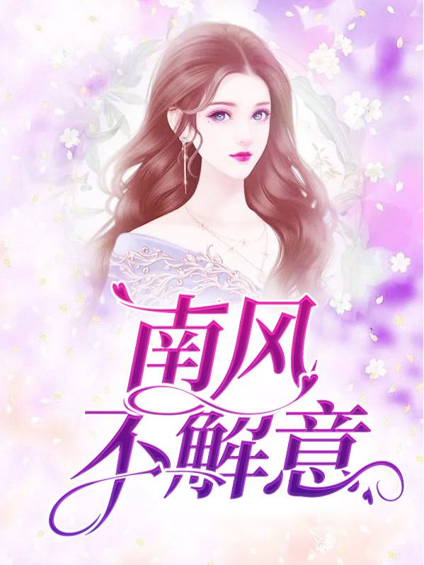 南风解意小说