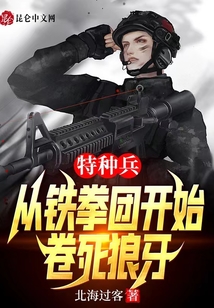 特种兵:从铁拳团开始,卷死狼牙 北海过客