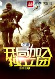 亮剑:开局加入独立团