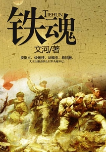 铁魂模型