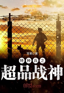 特种兵之超品战神 小说
