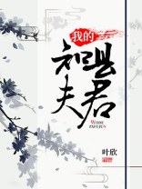我的知县夫君小说TXT下载