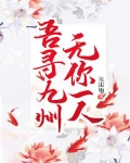吾寻九州无你一人全文免费阅读