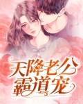 天降老公霸道宠