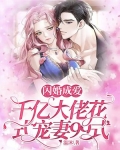闪婚成爱，千亿大佬花式宠妻99式