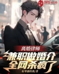做离婚律师赚钱吗