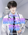 影视神医从爱情公寓开始TXT下载