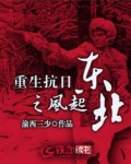 重生抗日之风起东北 第22章
