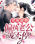 替嫁甜婚:偏执老公宠不停