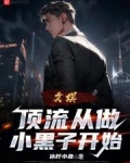 文娱顶流从做小黑子开始笔趣阁
