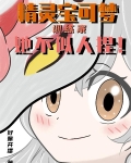 精灵宝可梦壁纸