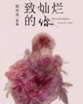 致灿烂的你晋江