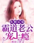 先婚后爱偏执老公宠上瘾