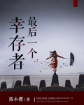 最后一个幸存者攻略