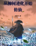 从柳树进化开始修仙