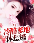 冷酷爹地娶一赠二免费阅读