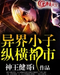 异界小子纵横都市小说