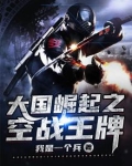 王牌战机