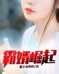 霸婿崛起
