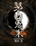 茅山鬼术师2