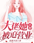 大佬她不想被迫营业txt免费