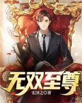 无双至尊皮肤