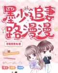 墨少追妻路漫漫