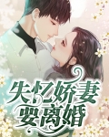 离婚前老婆失忆了