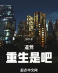 重生之我要冲浪
